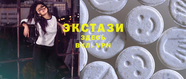 дживик Ельня