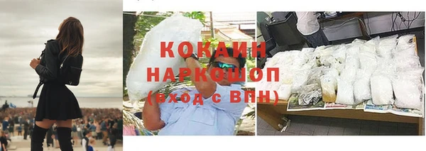 дживик Ельня