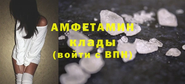 дживик Ельня