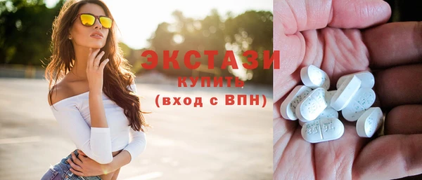 дживик Ельня