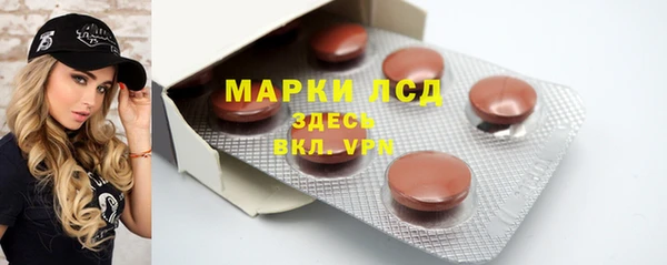 дживик Ельня