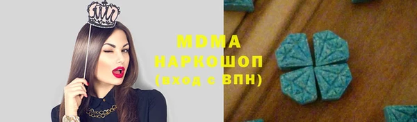 дживик Ельня
