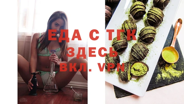 дживик Ельня