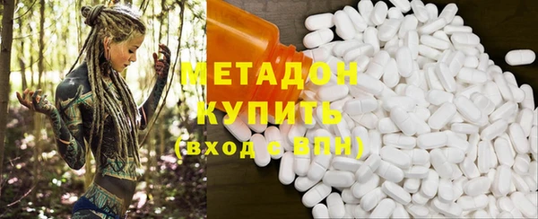 дживик Ельня