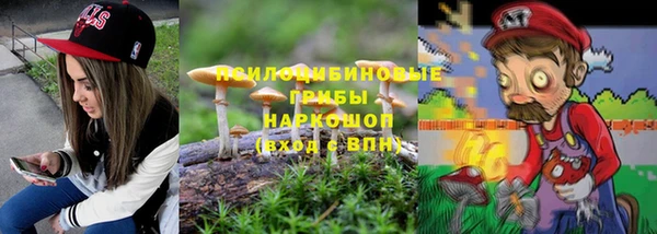 дживик Ельня