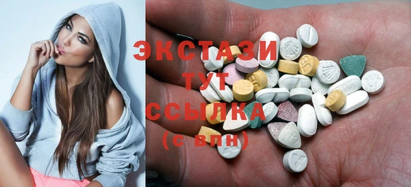 дживик Ельня