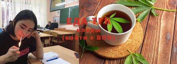 дживик Ельня