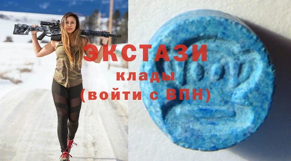 дживик Ельня