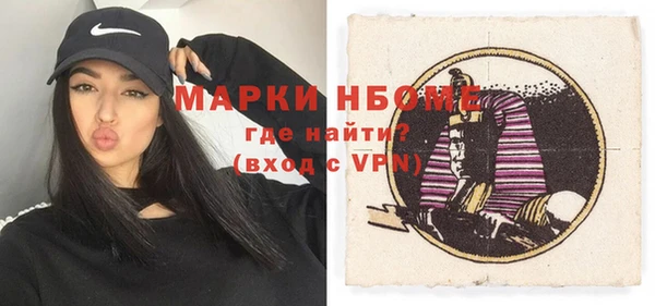 дживик Ельня