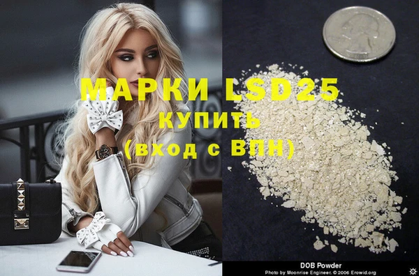 дживик Ельня