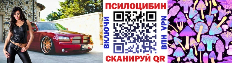 Купить закладки Мичуринск Галлюциногенные грибы мицелий